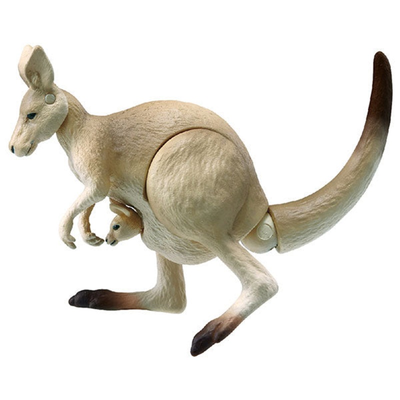 Ania AS-21 Giant Kangaroo