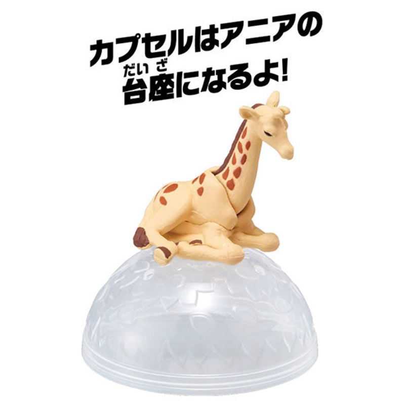Ania AC-04 Giraffe (Child)