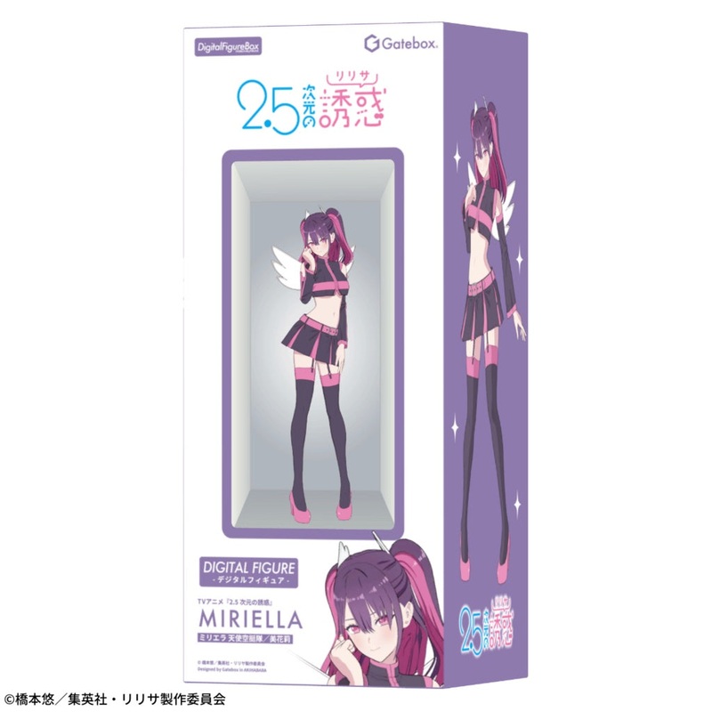 2.5 Dimensional Seduction Digital Figure Box – Miriella