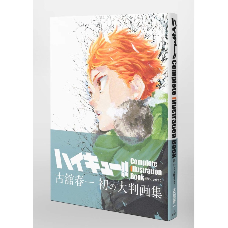 HAIKY!! COMPLETE ILLUSTRATION BOOK