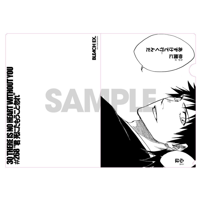 BLEACH EXHIBITION – BLEACH EX. Original clear file – End of Perfection A