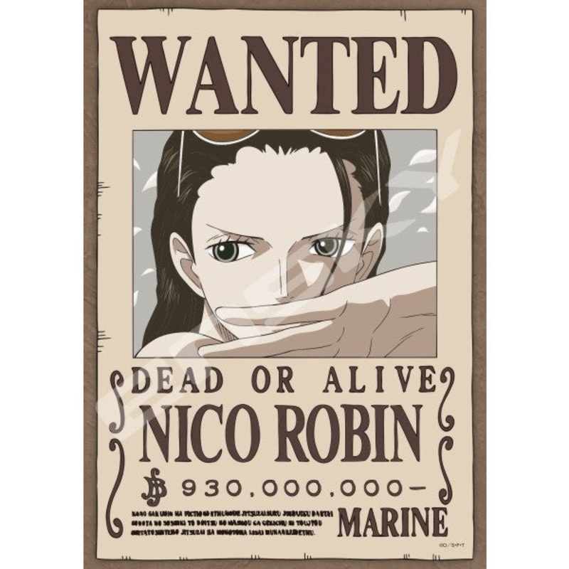 One Piece Jigsaw Puzzle 208 Pieces [Archaeologist “Devil Child” Nico Robin] 208-140