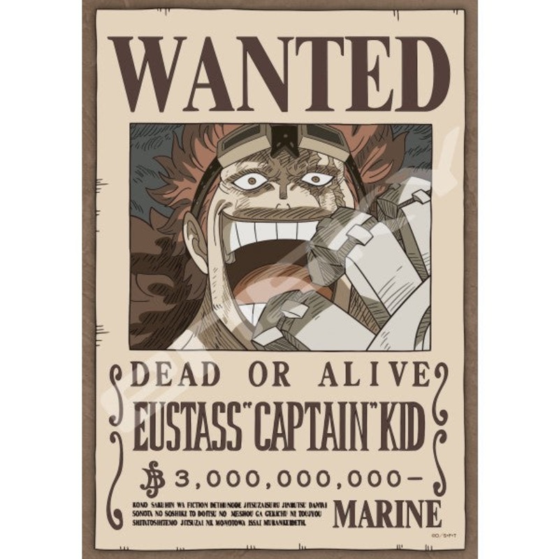 One Piece Jigsaw Puzzle 208 Pieces [Eustass “Captain” Kid] 208-145