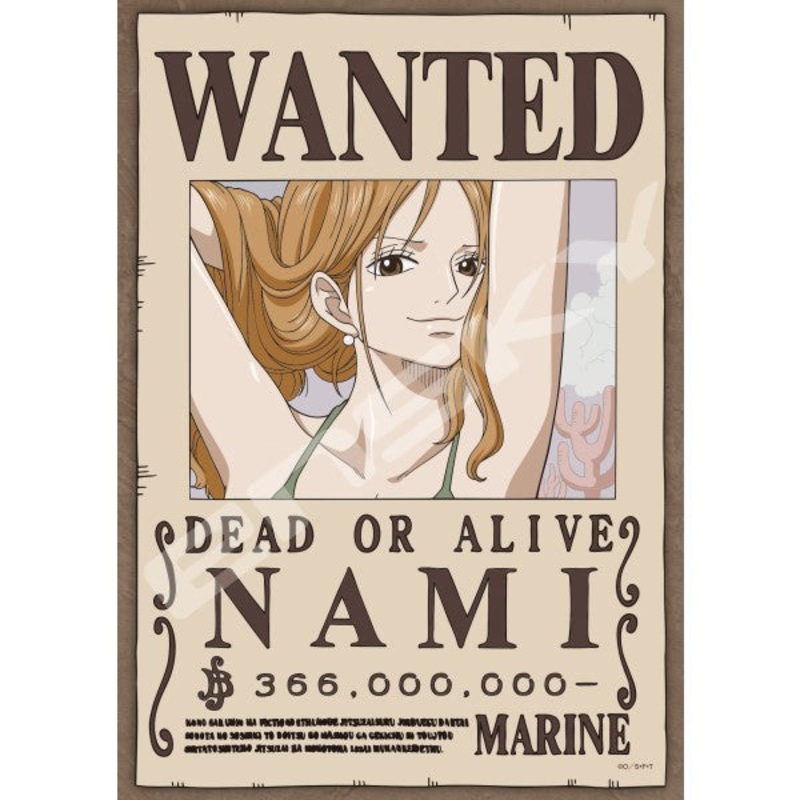 One Piece Jigsaw Puzzle 208 Pieces [Navigator “Burglar Cat Nami”] 208-136